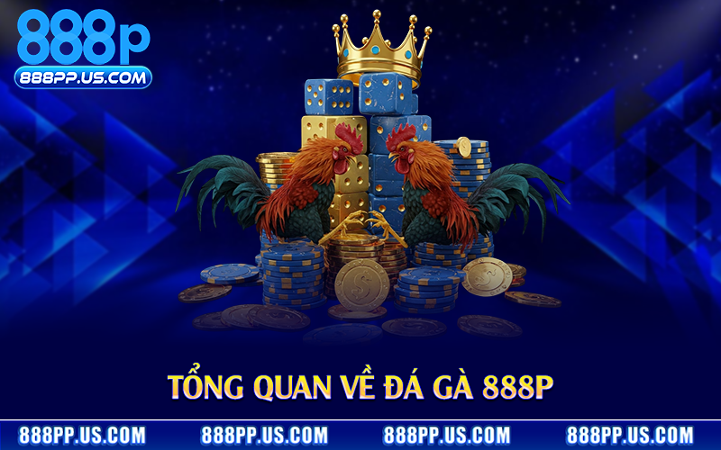 Tổng quan về đá gà 888P